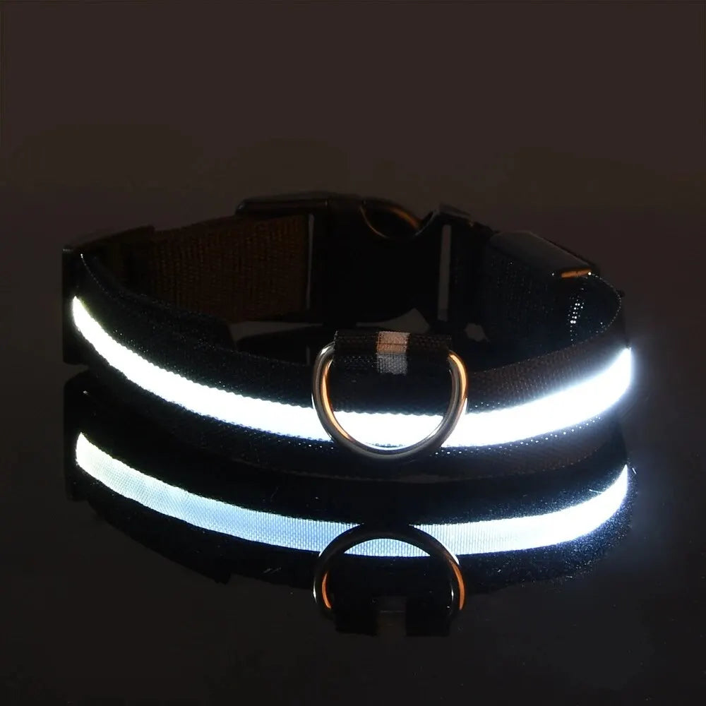 LED dog leash and collar