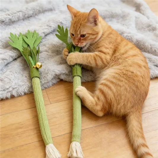 Catnip Chew Toy