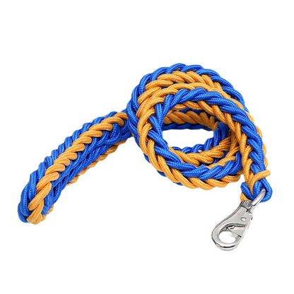 Heavy-duty nylon leash for medium and large dogs