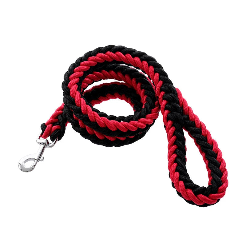 Heavy-duty nylon leash for medium and large dogs