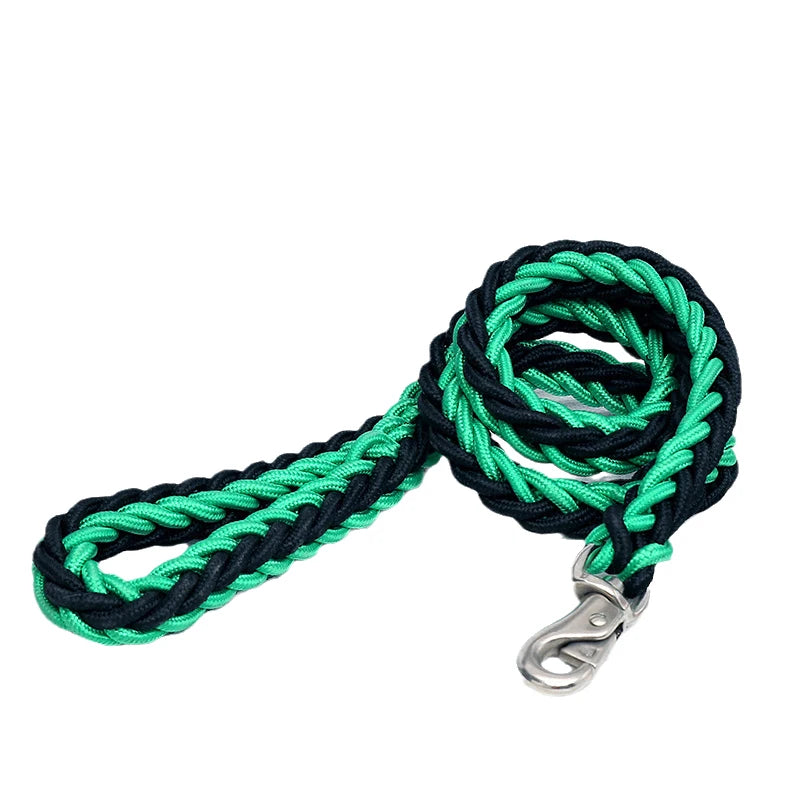Heavy-duty nylon leash for medium and large dogs