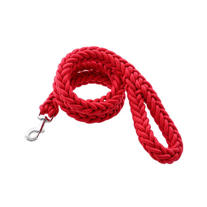 Heavy-duty nylon leash for medium and large dogs
