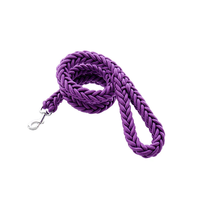 Heavy-duty nylon leash for medium and large dogs