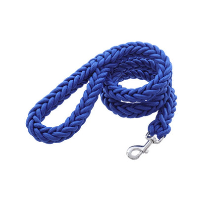 Heavy-duty nylon leash for medium and large dogs