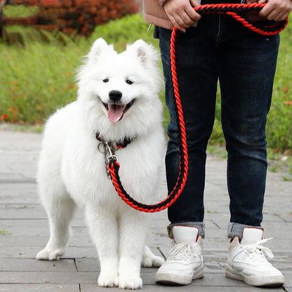 Heavy-duty nylon leash for medium and large dogs