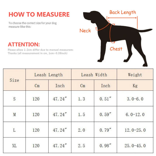 Heavy-duty nylon leash for medium and large dogs