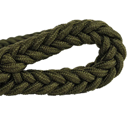 Heavy-duty nylon leash for medium and large dogs