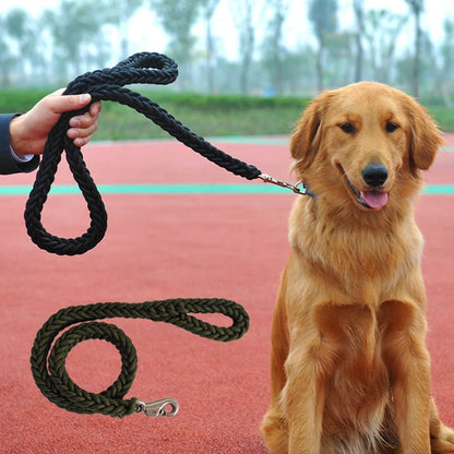 Heavy-duty nylon leash for medium and large dogs