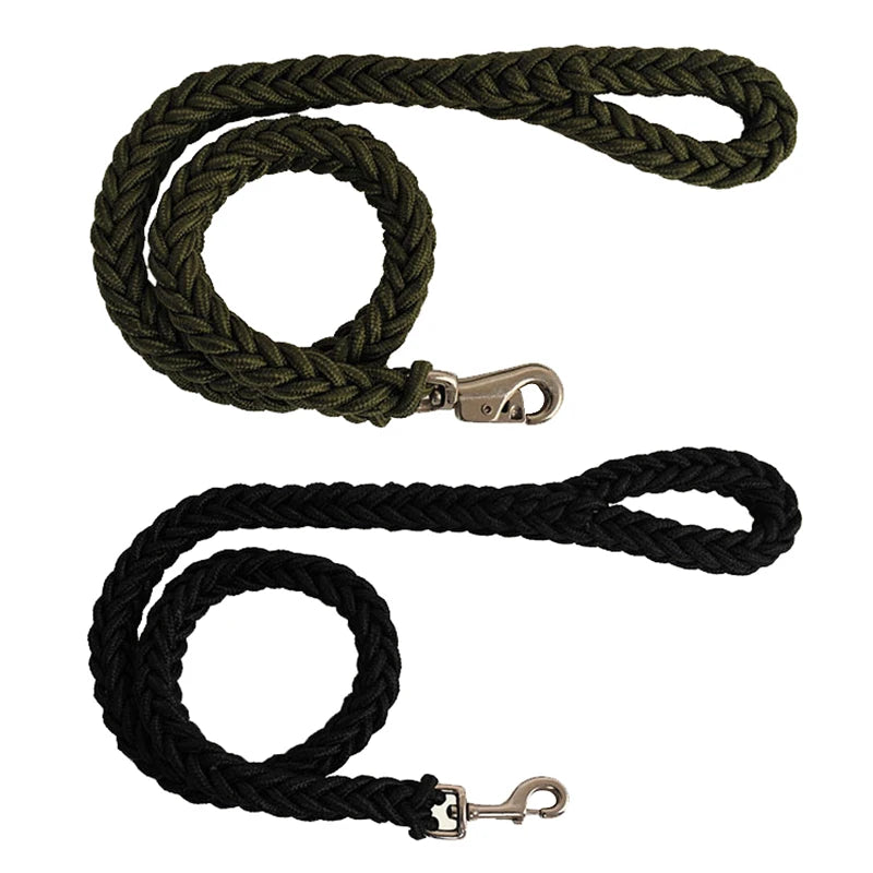 Heavy-duty nylon leash for medium and large dogs