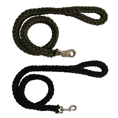 Heavy-duty nylon leash for medium and large dogs