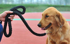 Sturdy Nylon Big Dog Leash for Medium Large Dogs Strong Pet Round Rope Bulldog Golden Retriever Pitbull Lead Chain Pet Supplies