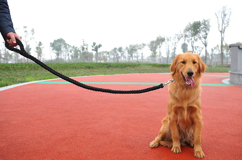 Sturdy Nylon Big Dog Leash for Medium Large Dogs Strong Pet Round Rope Bulldog Golden Retriever Pitbull Lead Chain Pet Supplies