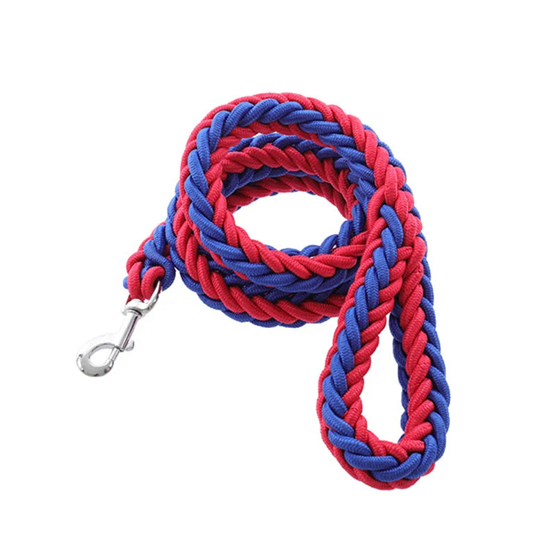 Heavy-duty nylon leash for medium and large dogs