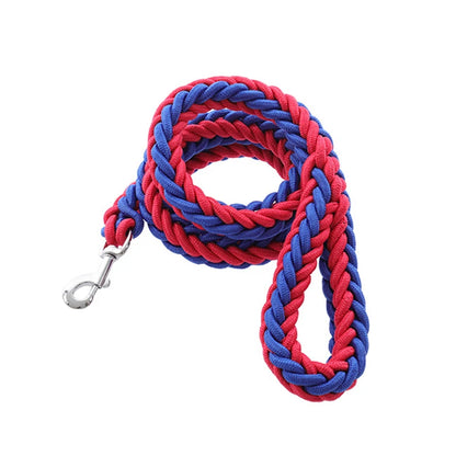 Heavy-duty nylon leash for medium and large dogs