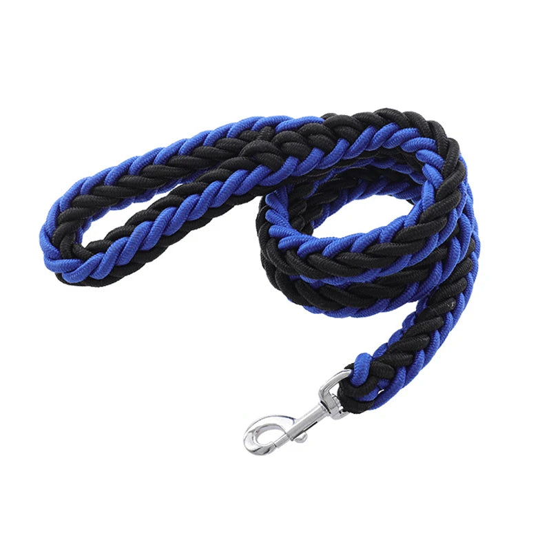 Heavy-duty nylon leash for medium and large dogs