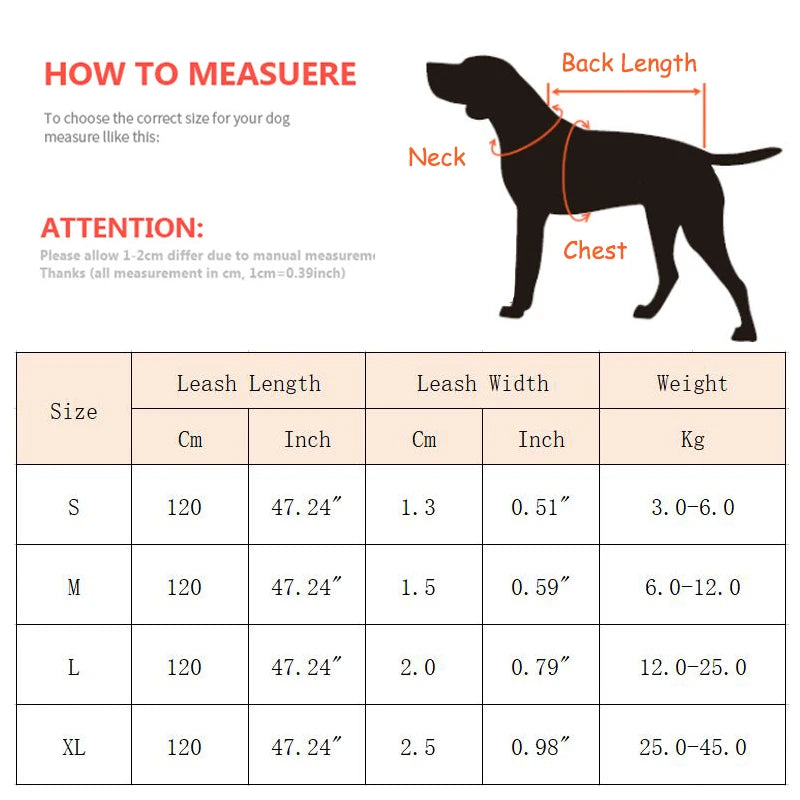 Heavy-duty nylon leash for medium and large dogs