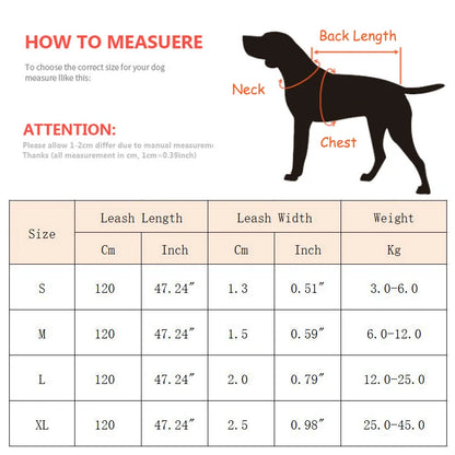 Heavy-duty nylon leash for medium and large dogs