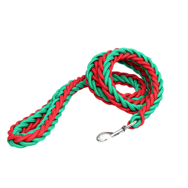 Heavy-duty nylon leash for medium and large dogs
