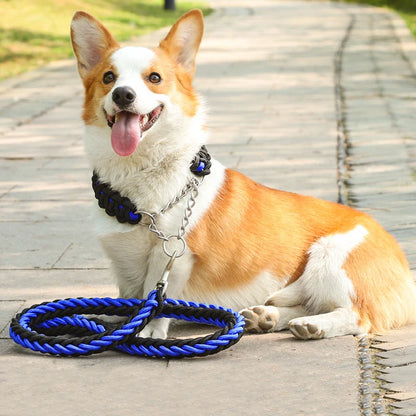 Heavy-duty nylon leash for medium and large dogs