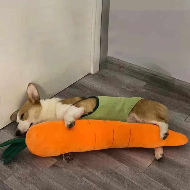 Carrot plush dog toy