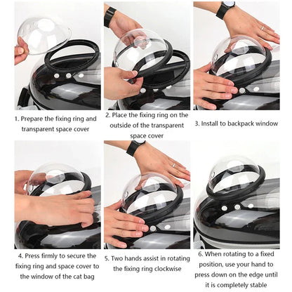 Transparent pet backpack for cats and dogs