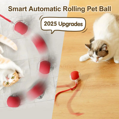 Interactive rolling ball for cats