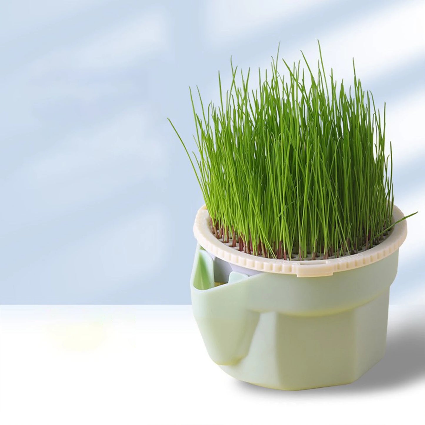Reusable Cat Grass Planter