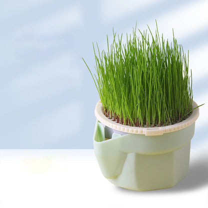 Reusable Cat Grass Planter