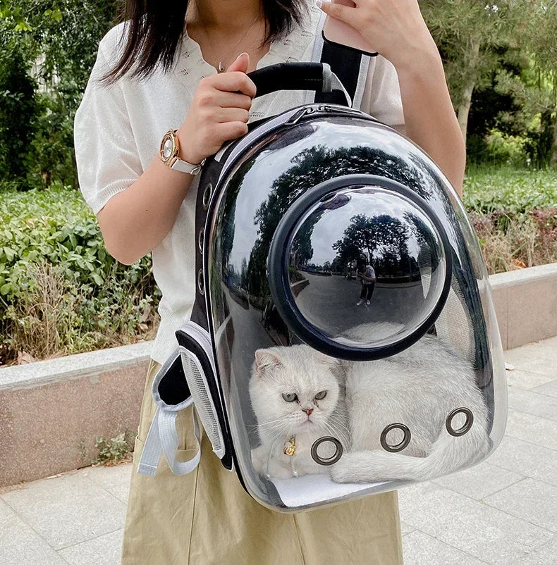 Transparent pet backpack for cats and dogs