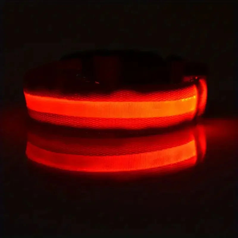 LED dog leash and collar