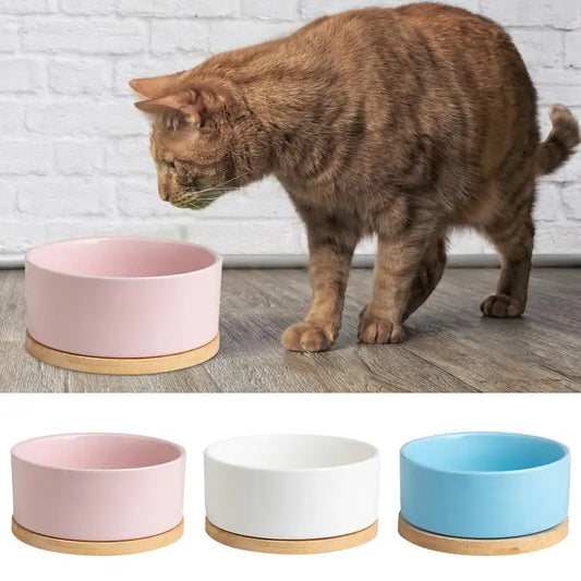 Heated pet water bowl