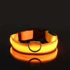 Nylon LED Night Safety Flashing Glow In The Dark Dog Leash Dogs Luminous Fluorescent Pet Dog Collar