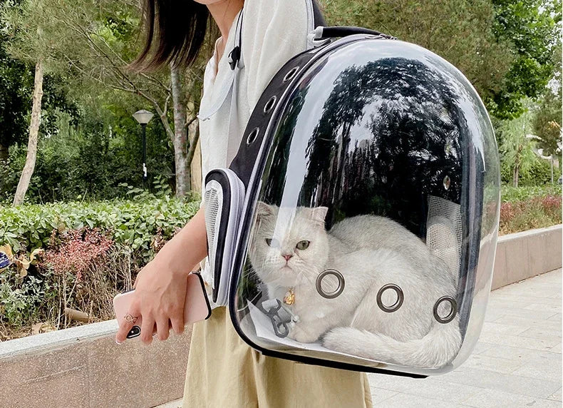 Transparent pet backpack for cats and dogs