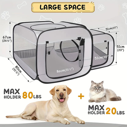 Large Cat Enclosure