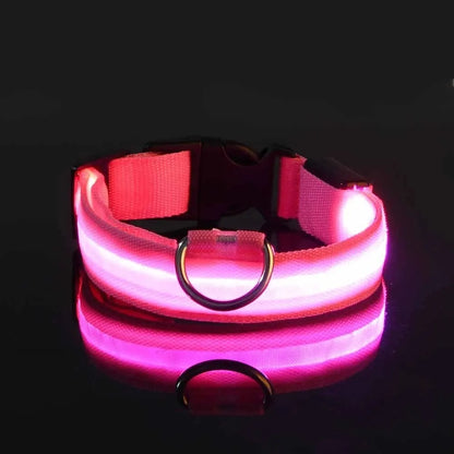 LED dog leash and collar