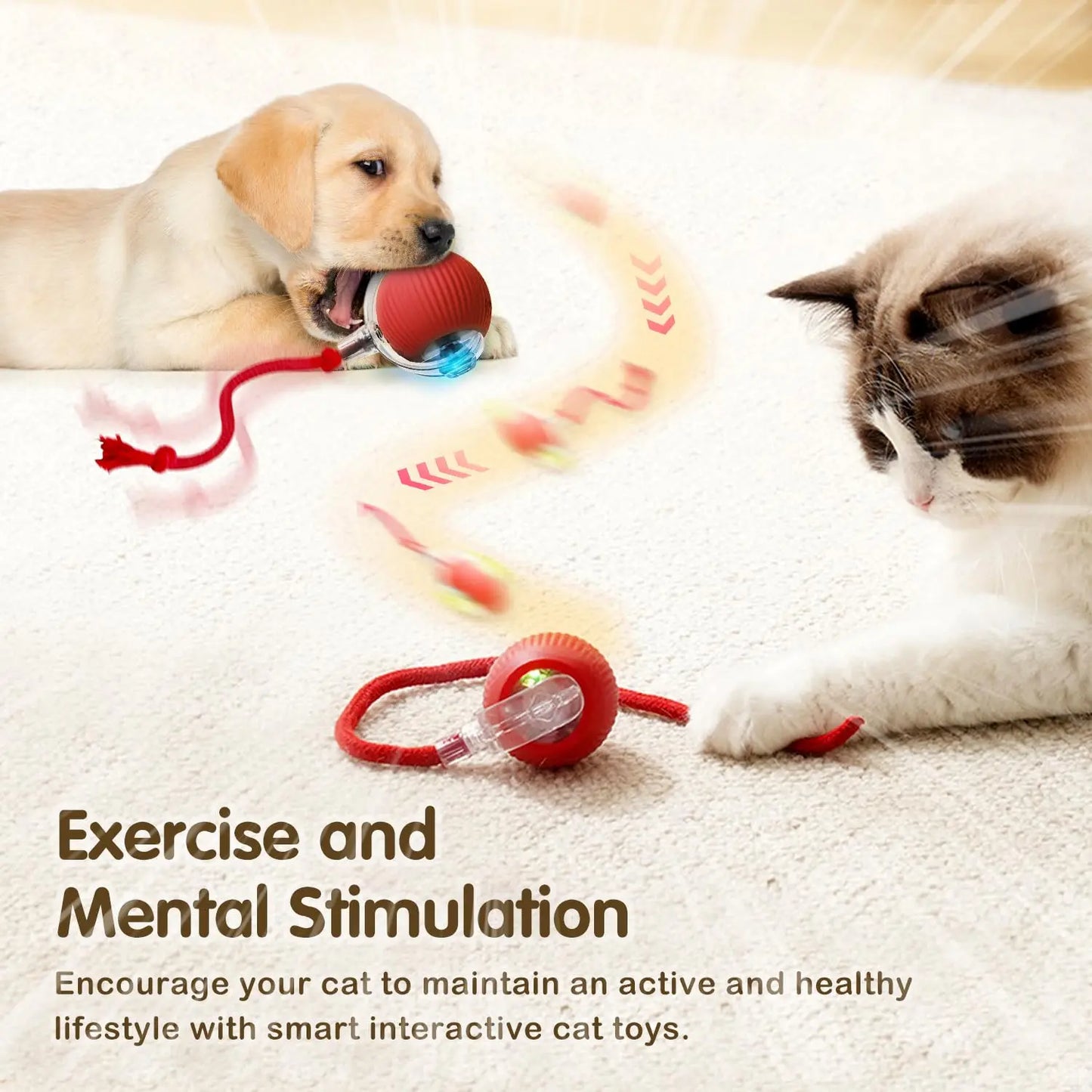 Interactive rolling ball for cats