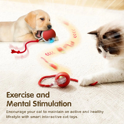Interactive rolling ball for cats