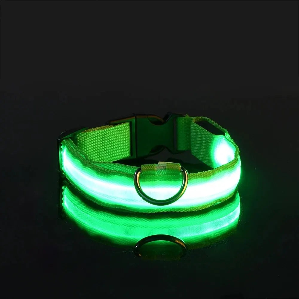 LED dog leash and collar