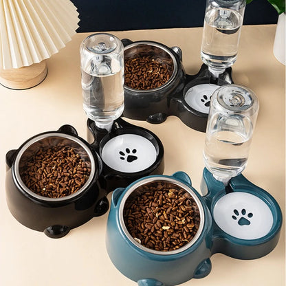 Automatic Pet Feeding Station