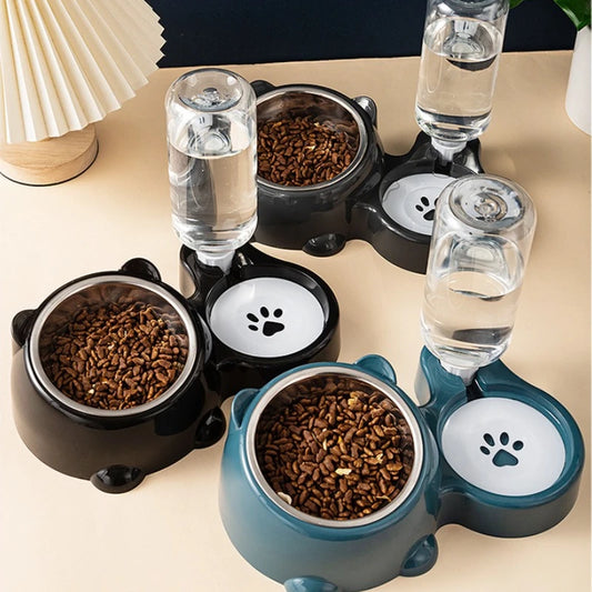 Automatic Pet Feeding Station