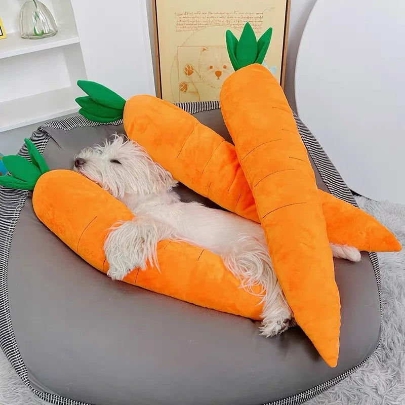Carrot plush dog toy