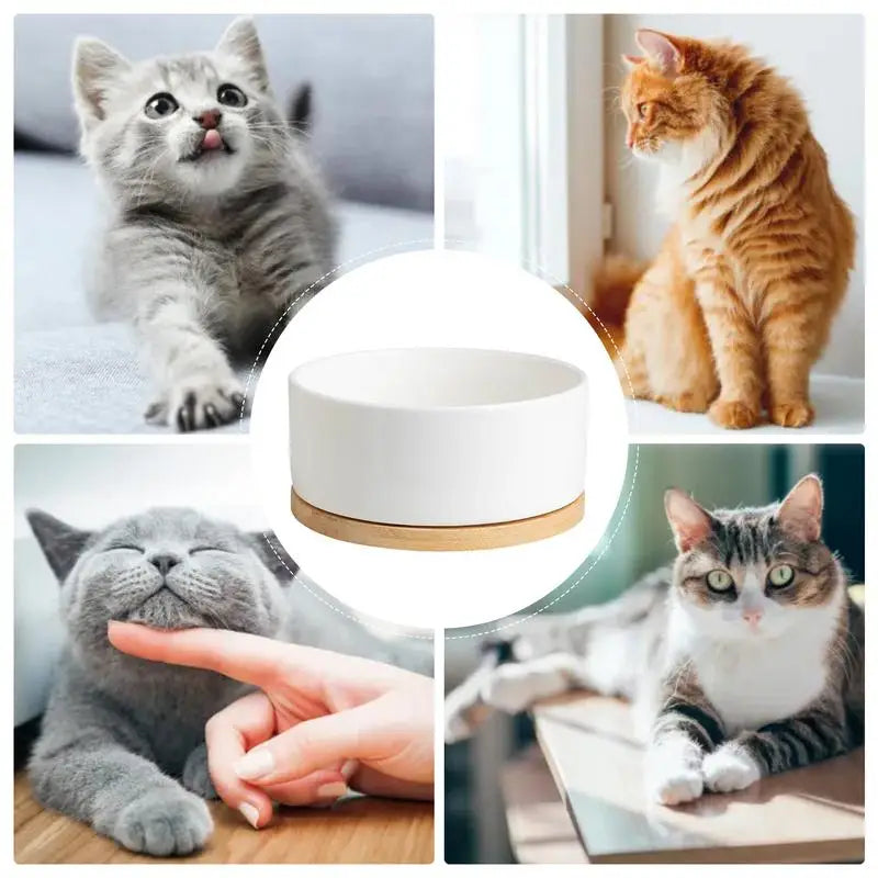Heated pet water bowl