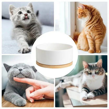 Heated pet water bowl