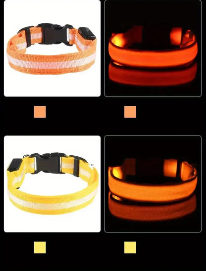 LED dog leash and collar