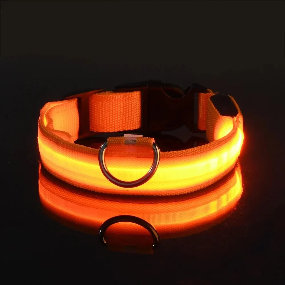LED dog leash and collar