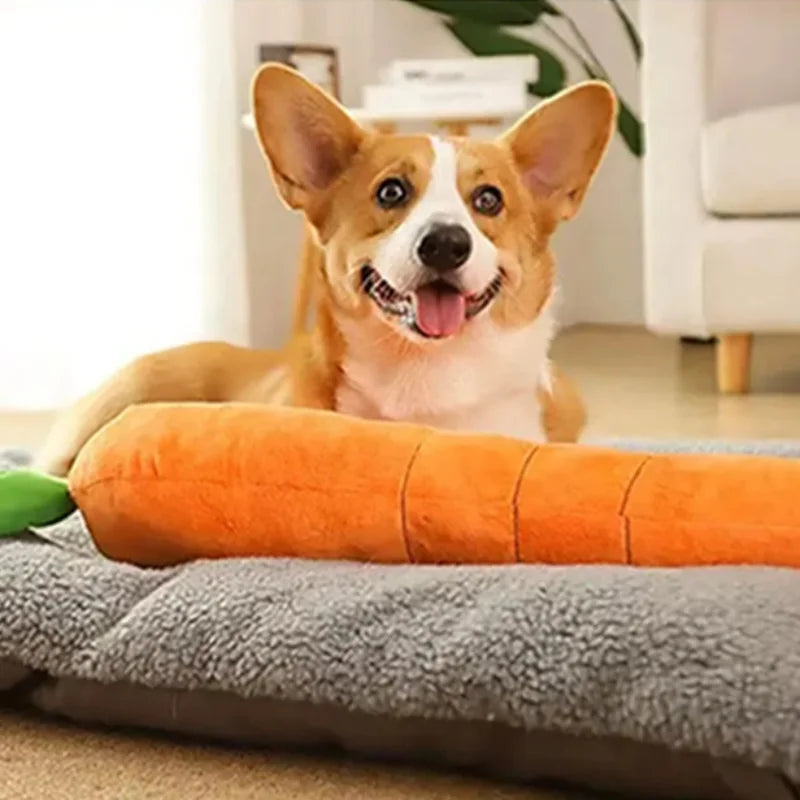 Carrot plush dog toy