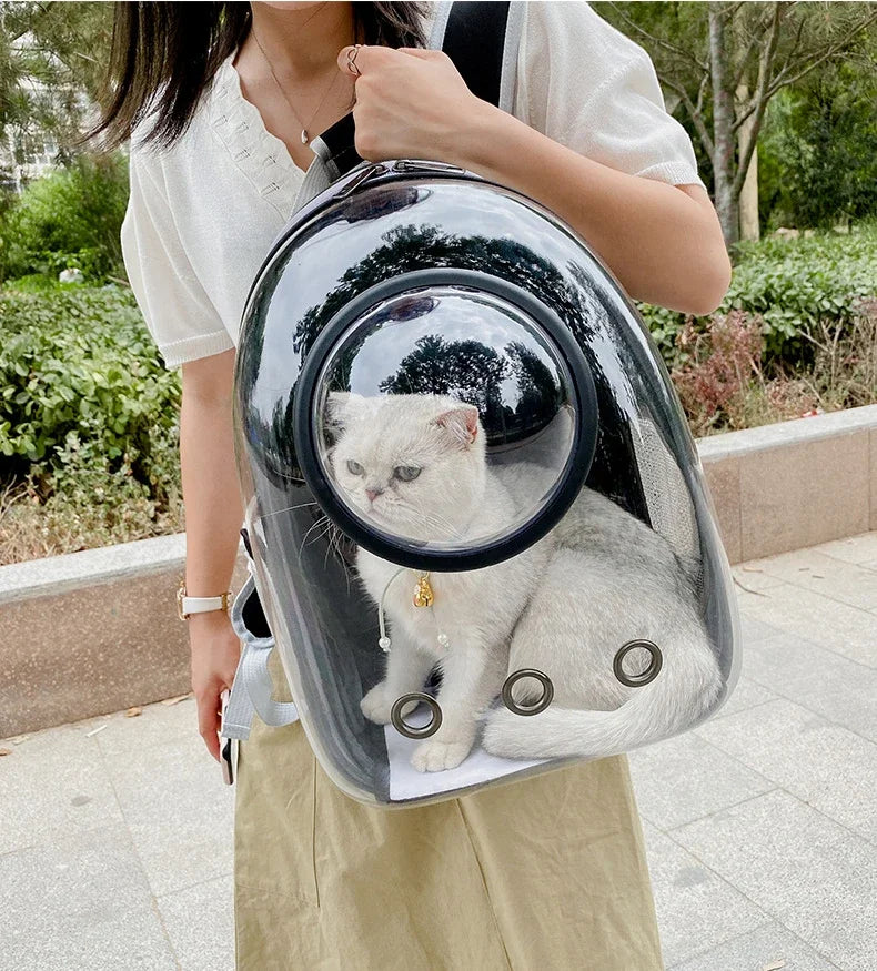 Transparent pet backpack for cats and dogs