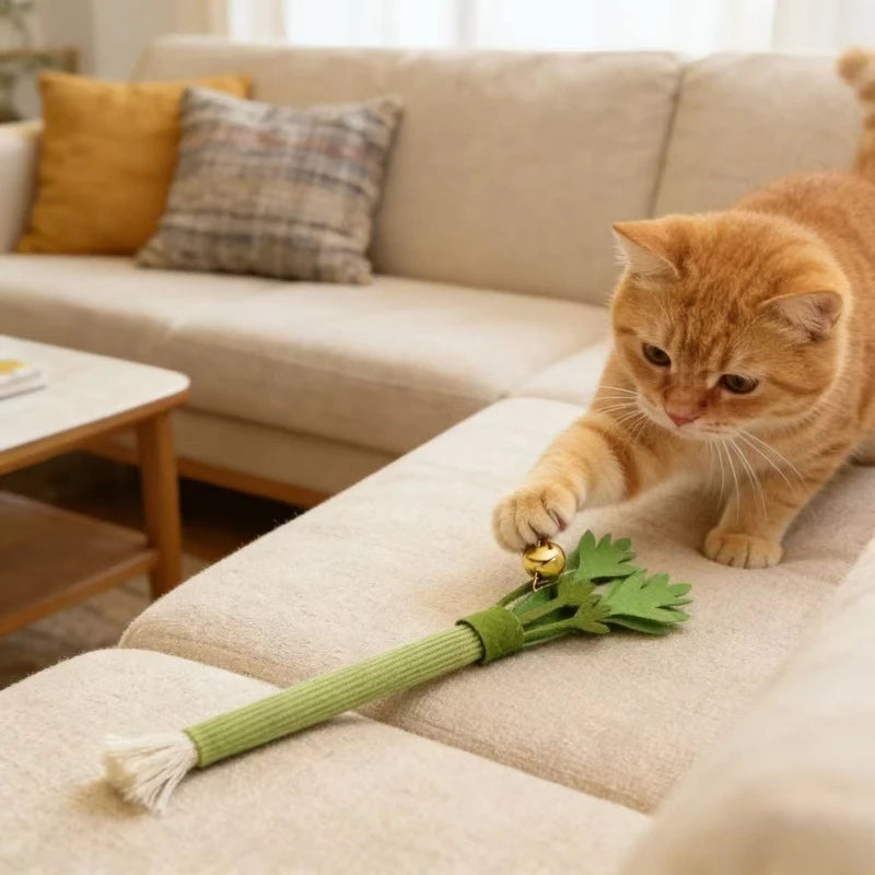 Catnip Chew Toy