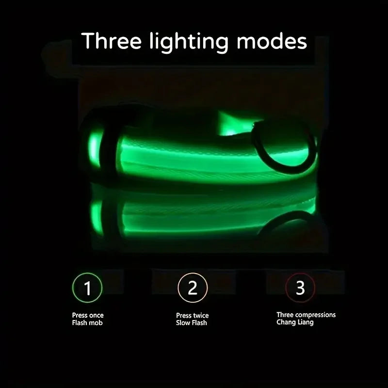 LED dog leash and collar