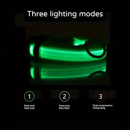 LED dog leash and collar